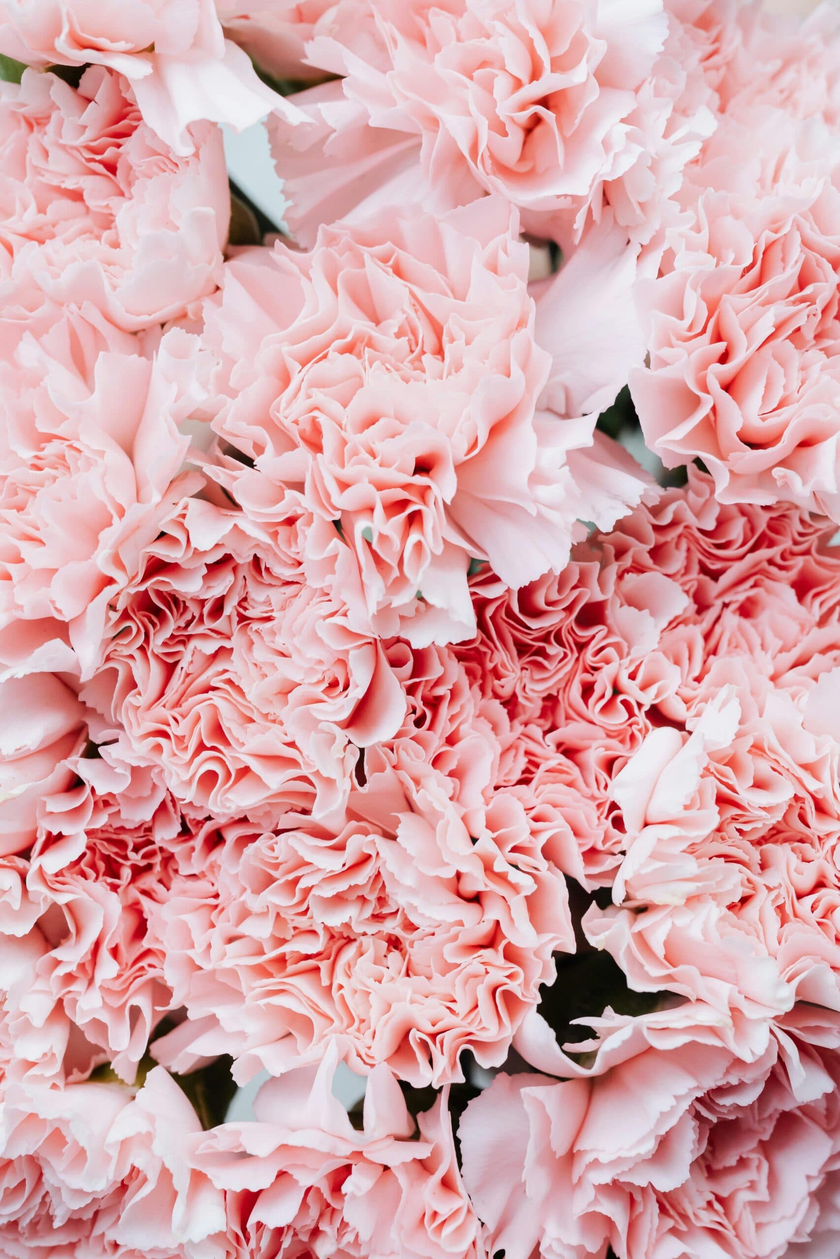 Celebrating Mother’s day with a Special Promotion